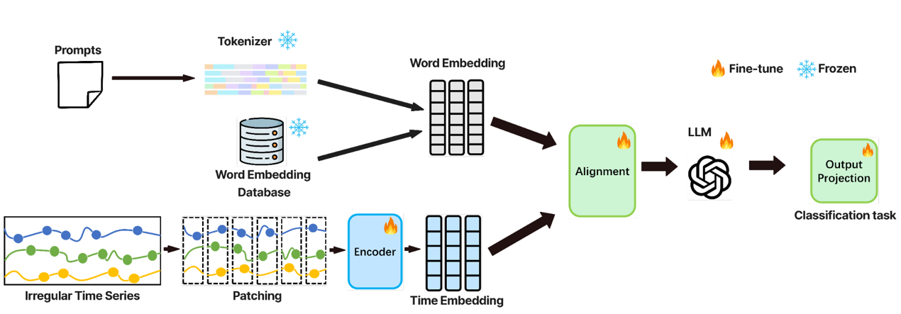 irregular ts preview